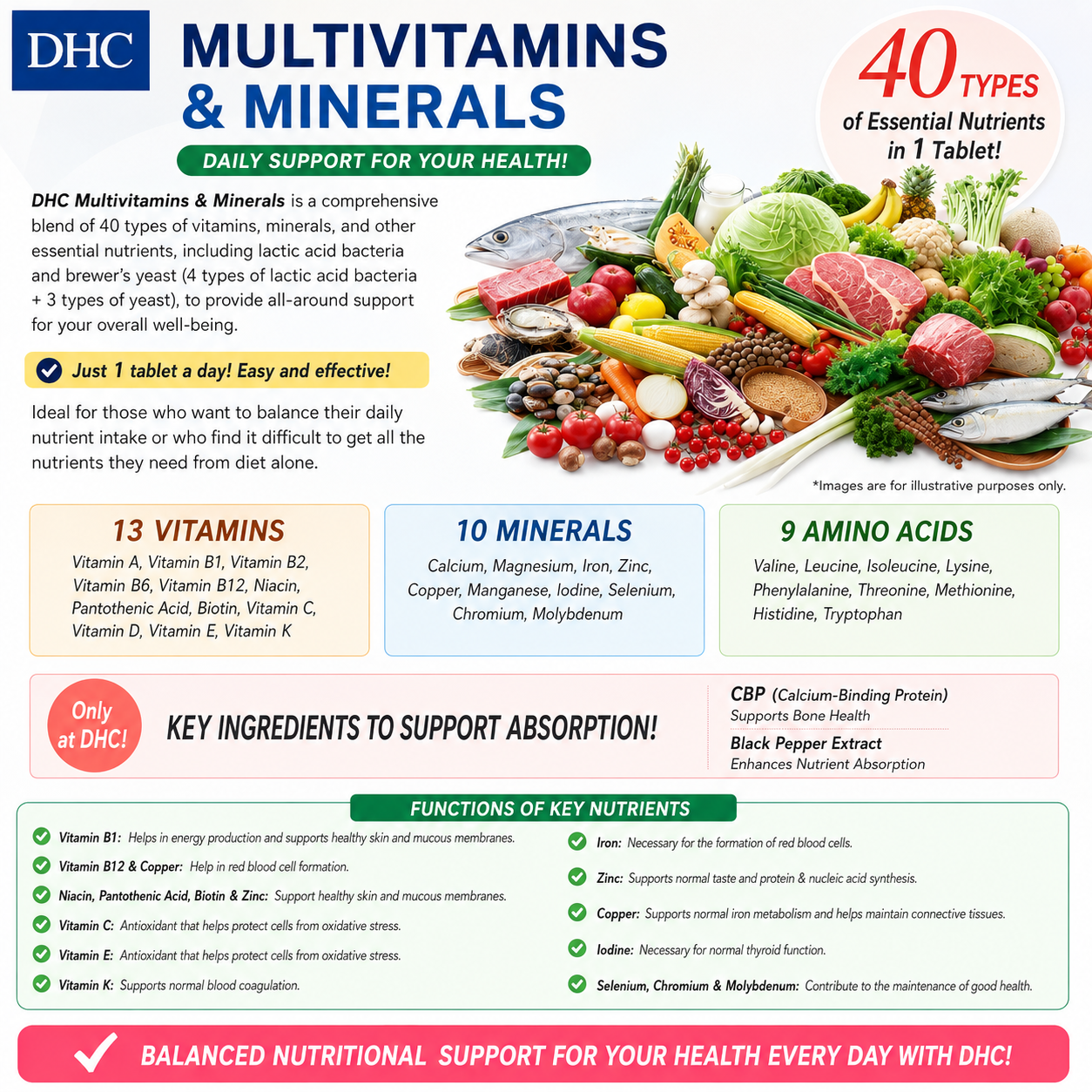 DHC Perfect Supplement Multivitamin & Minerals Japan